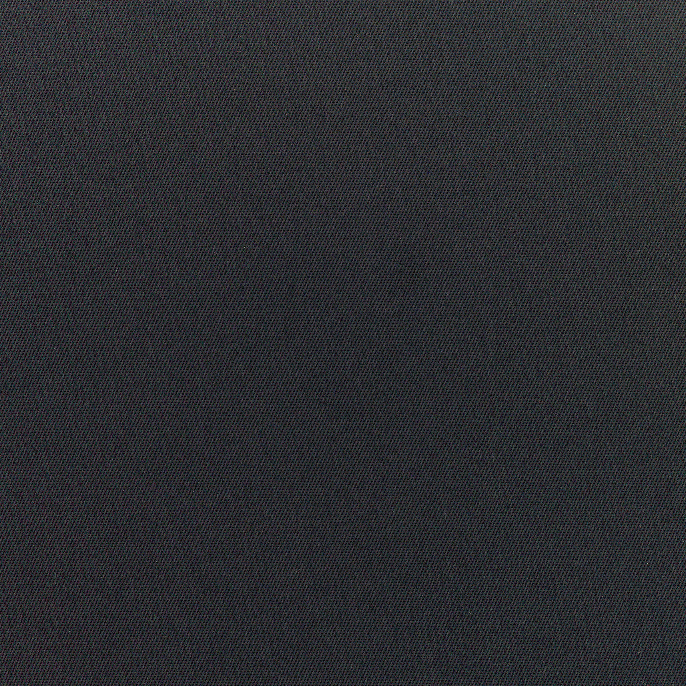 Canvas Raven Black