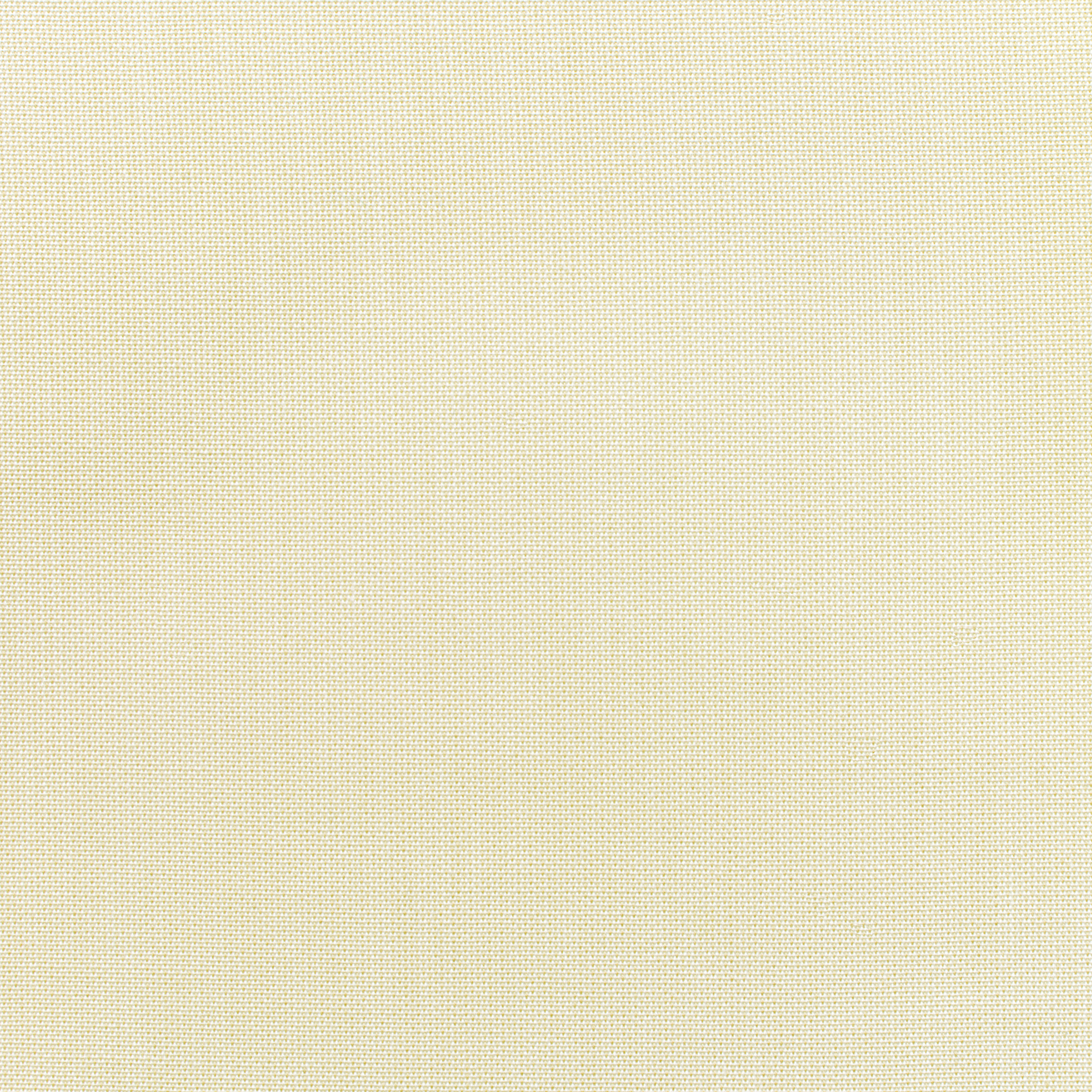 Canvas Birds Eye